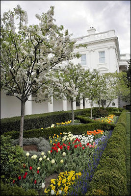White_House_Rose_Garden.jpg