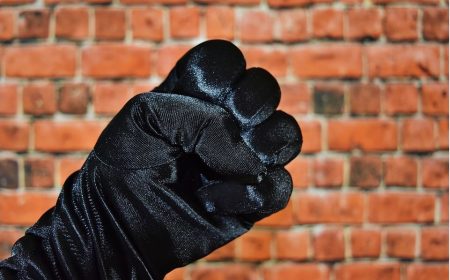 black-gloved-fist-pix-450x280.jpg